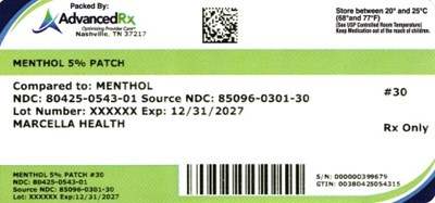 Menthol 0.05 Patch 80425-0543-01.jpg Menthol 5% Patch #30 - Menthol 0.05 Patch 80425 0543 01